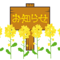 名古屋市オリア施術院菜の花のイラスト