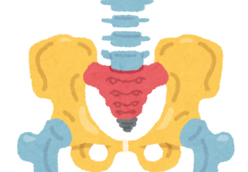 腰部 骨盤矯正 股関節の症状ページです